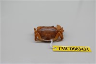 藏品(拉氏清溪蟹)的圖片